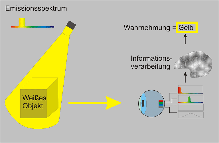 Gelbe Lichtfarbe regt die roten und grünen Zapfen an