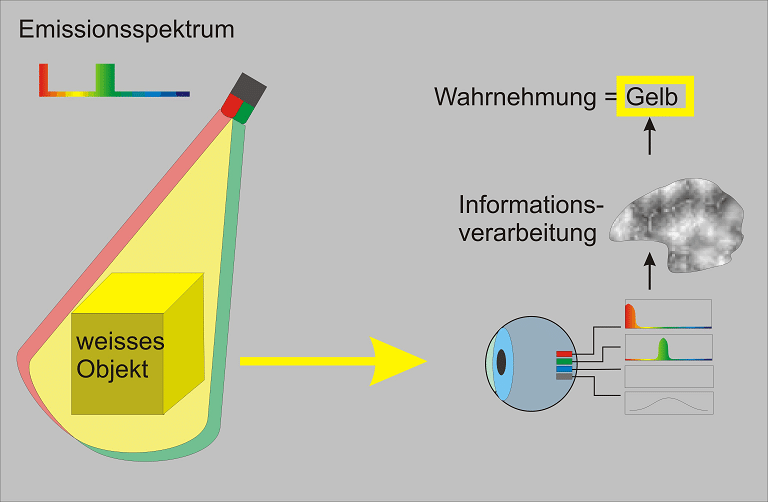 Schaubild für Farbwahrnehmung durch Interpretation im Gehirn