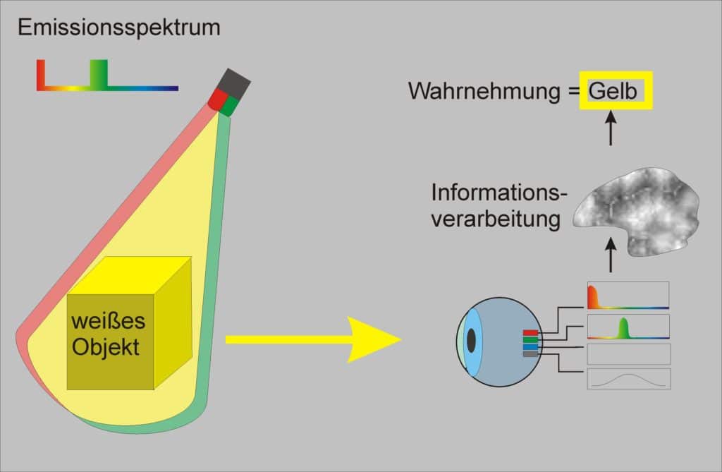 Es wird gezeigt das rote und grüne Spektralfarben die gleichen Sinneszellen anregen und damit das Gehirn ebenfalls gelb gesehen wird.