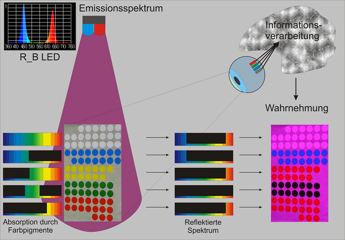 Beleuchten von pigmentierten Körpern hat zur Folge, dass nur die Lichtfrequenzen reflektiert werden, mit denen die Pigmente auch bestrahlt werden.